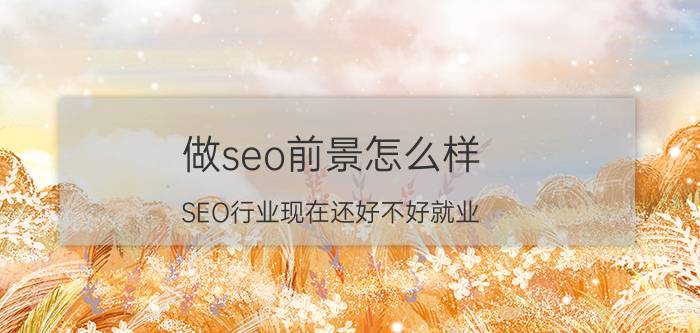 做seo前景怎么样 SEO行业现在还好不好就业？